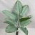 Import Various styles 12 heads 65cm artificial outdoor plants Taro leaf bush banana leaves for green wall decoration UV protection from China