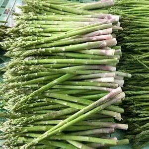 Vietnam bulk high quality fresh asparagus price