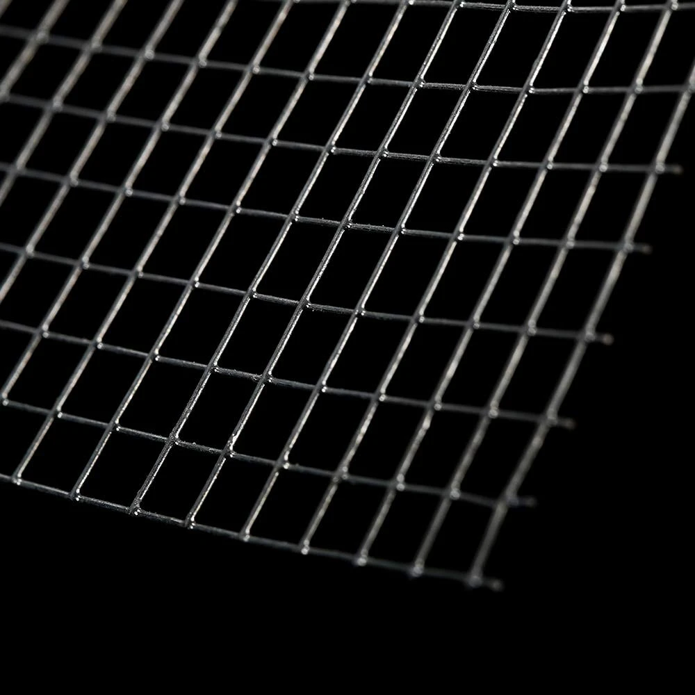 Welded Hardware Cloth Plain Weave 2-500 Mesh Hot Dip Galvanized Low Carbon Steel Woven Iron Wire Mesh