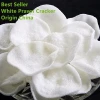 White Prawn Crackers made from fresh premium prawn extract Healthy and Tasty Seafood