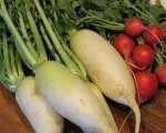Wholesale Fresh Radish from Malaysia