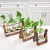 Import Wholesale Glass Table Flower Vase Hydroponic Container Home Office Decor with 1 2 3 Beakers with Wooden Tray from China