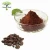 Import Wholesale Instant Alkalized Cocoa Powder from China