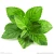 Import wholesale Peppermint hydrosol OEM for skin care with larger capacity from China
