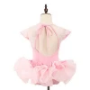 Wholesale Professional High Quality Kids Girls Performance Tutu Ballet Dress