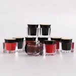 Wholesale Small Bottle 5g Cosmetic Tattoo Pigment Tattoo Ink Used On Practice Skin For Permanent Makeup Practice Starter