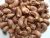 Import Wholesale Vietnam Origin Cashew Nuts (W240, W320, W450) from Vietnam