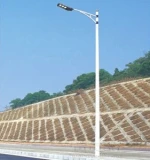 Widely Used With Single/Double Arm Stainless Steel Street Light Pole