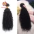 Import Xuchang Factory 10A Grade Virgin 100% Human Hair Extensions Peruvian Kinky Curly Hair Peruvian Human Hair Bundles from China
