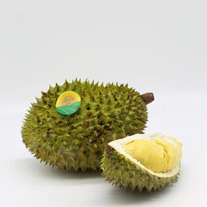 YELLOW PLESH DURIAN - FLOATERS FOR SALES