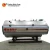 Import Yinchen gas oil fuel 10kg pressure steam boiler from China