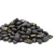 Import For sale high-quality Black Beans carefully selected and packed for freshness and nutrition from Malaysia