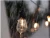 Import Outdoor LED String Light (High Voltage) from China