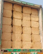 Wheat Straw