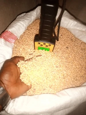 SOYABEAN