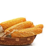 Large Quantity Dried Yellow Corn For Sale Premium Quality Dried Yellow Corn Offered At Competitive Prices