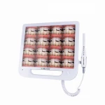 Dental intra oral camera with monitor