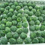 Bulk IQF Frozen and Fresh Spinach Small Leaf Green Frozen Vegetable Spinach Ball