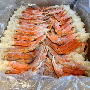 Live Snow Crab For Sale / Frozen Cooked Snow Crab Legs
