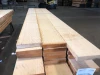 Premium Yellow Cedar Logs Bulk Supply High Quality Timber Export Grade Material