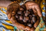 Beurre de karité certifié bio