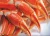 Import Live Snow Crab For Sale from Norway