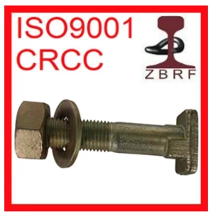 Zinc Plated Insert Bolt with Nut and Washer for Railway
