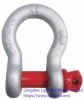 G209 US type Shackle