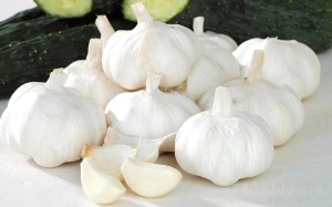 Organic Fresh Garlic Bulbs – Strong Aroma & Long Shelf Life