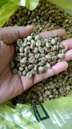 Green bean Coffee