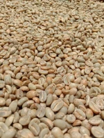 Arabica Coffee Beans Grade 1