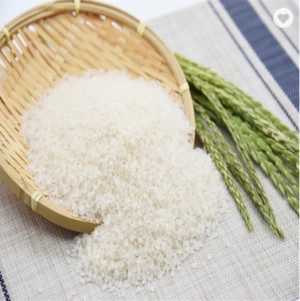 Premium Grade Long Grain Rice Thailand Jasmine Rice for Export