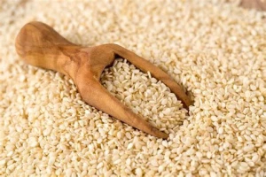 HIGH GRADE ORGANIC SESAME SEED