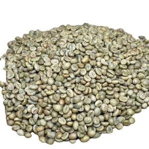Kenyan Arabica Coffee Beans – Trusted Export Supply for Buyers