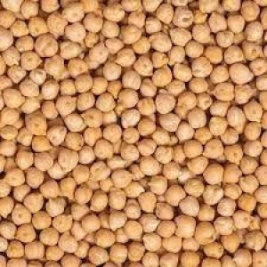 Export Grade Chickpeas – Machine Cleaned & Sorted