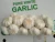 Import Natural Garlic / WHITE Garlic from South Africa