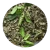 Import Krishna / Shyama Tulsi Leaf Dry (Ocimum sanctum) from India
