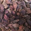 Wholesale Price Bulk Black Cardamom Single Spices Herbs Products