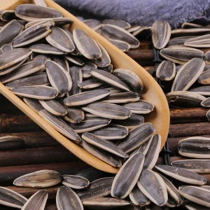 Variety of Raw Sunflower Seed, Long Shaped, White SFS, Black SFS & Oil SF