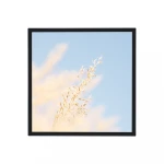 33 inch square LCD display