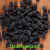 Import Black raisins from Uzbekistan