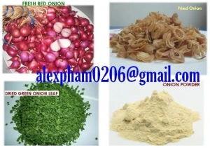 Fresh Red Onion Shallot, Ginger, Garlic, Galangal_whatsapp 0084399948793