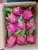 Import Fresh Dragon Fruit High Quality Best Price From Vietnam from Vietnam