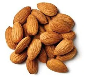Wholesale Premium Dried Almonds | Natural Whole Almonds for Bulk Supply