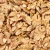 Import Certified Raw Walnuts with Shell /Unshelled Walnut Kernel from South Africa