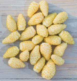 Strawberry Seeds - Yellow Wonder Alpine