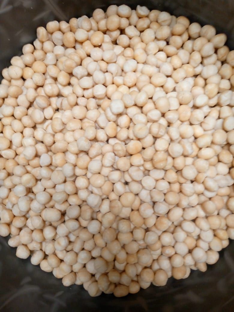 Buy Macadamia Nuts from BISLEFOODS LTD, Kenya