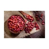 Discount price Red Kidney Bean wholesale bulk supply fresh stock
