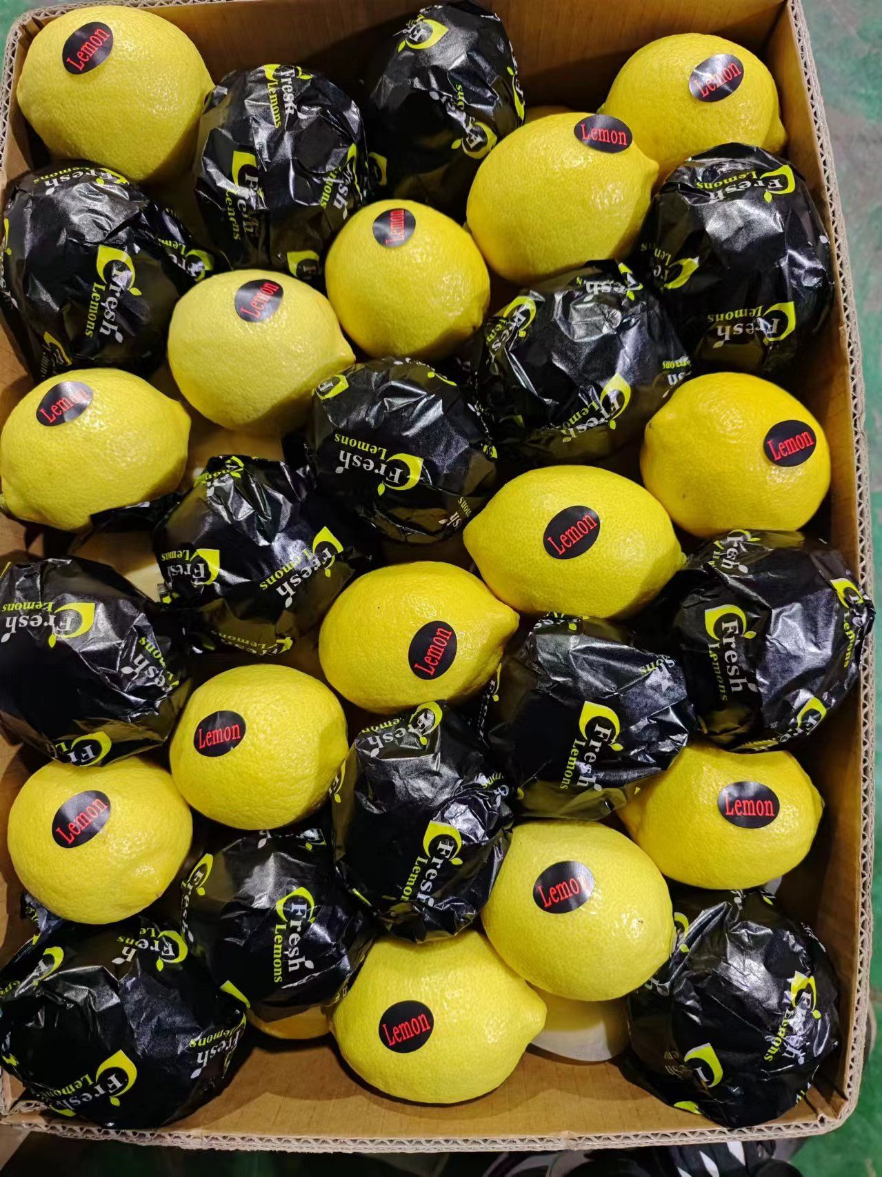 Lemon Trasing Buy Quality Grade Natural 100% Fresh Lemon Hot Selling/ Fresh Citrus ...