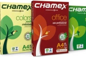 Chamex A4 Copy Paper in Pallet